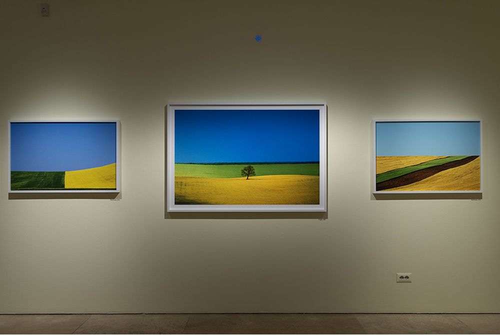 Fontana paesaggi Impulsi Creativi https://www.impulsicreativi.it/