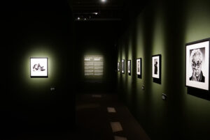 Scopri di più sull'articolo A Roma Eliott Erwitt Icons