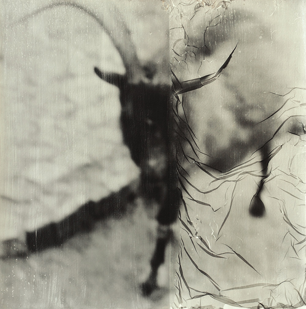 Degenerato100 x 70 x 3 cm, analog b/w photograph, hand printed on brass, wood, bitumen, unique print, 2022